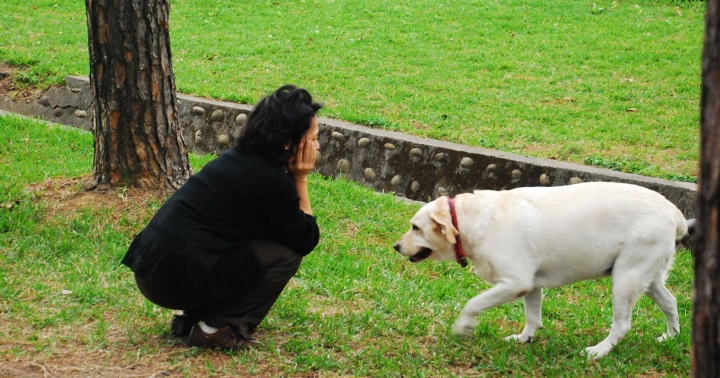 DSC_1027.JPG